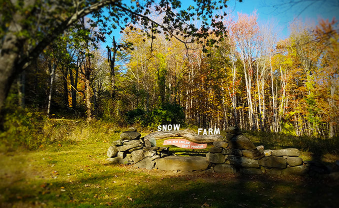 a learning adventure, and much more.