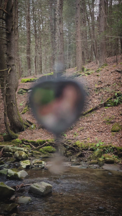 botticelli's venus - pictorial heart amulet