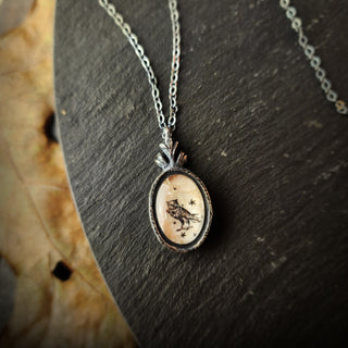 the owl amulet.