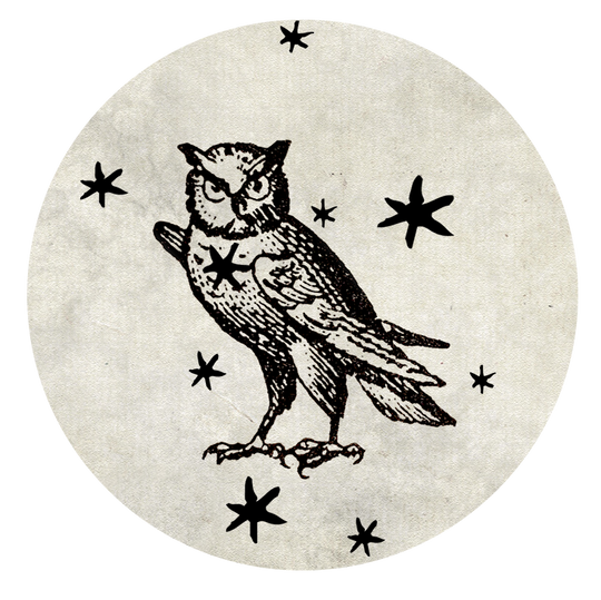 the owl amulet.