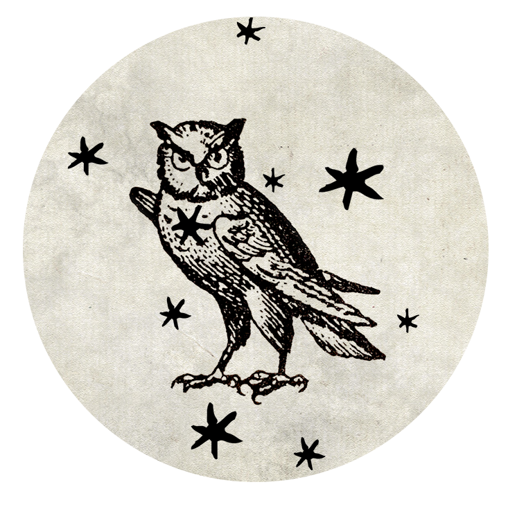 the owl amulet.